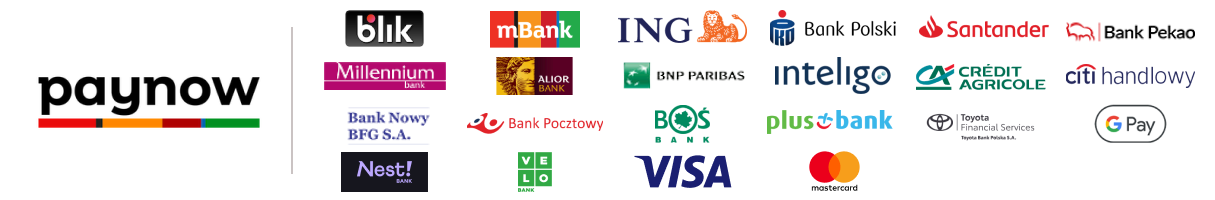 paynow - logo